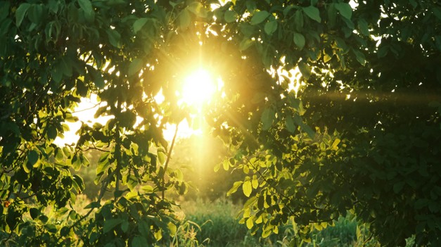 Počasie poslednej aprílovej nedele