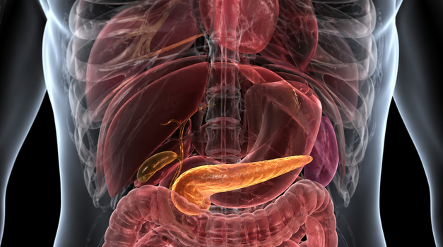 Úžasný úspech českých vedcov: Vynašli krvný test, ktorým dokážu odhaliť, komu hrozí rakovina pankreasu!