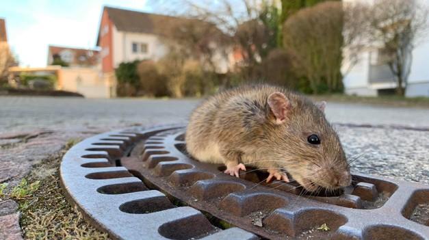 12 infekciíí, ktoré NIE SÚ NÁKAZLIVÉ. Kedy sa nemusíte báť prenosu od iného človeka?