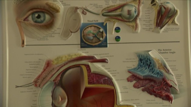 8 spôsobov ako uchrániť oči pred prejavmi starnutia. Čo vám pomôže vidieť lepšie?