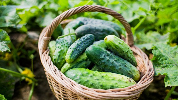 Trápia vás často svalové kŕče? TÝCHTO 13 potravín vám dokáže pomôcť