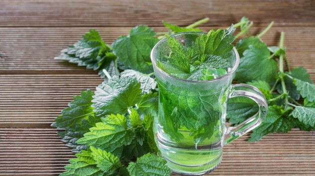 Kráľovná jarných byliniek: Lieči močové cesty, cukrovku aj vysoký cholesterol