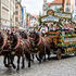 Nešťastie na Oktoberfeste: Pohladkanie koňa skončilo smrťou seniorky (†99)
