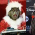 Hviezda z filmu Grinch prehovorila: Kultová úloha jej priniesla šikanu a kruté posmešky!