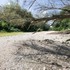 Horúčavy, sucho aj požiare. Únia miest vyzýva štát na riešenie klimatickej krízy