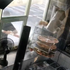 Muž dopravnou značkou rozbil výklad pizza kiosku. Vnútri ho čakali iba makety