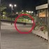Nezvyčajný návštevník v centre mesta: Medveď sa pohyboval po pešej zóne