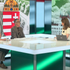 Štúdio 24: Fidesz analyzuje volebný neúspech