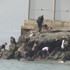 Štúdio 24: Ceuta – 60-tisíc migrantov za deň