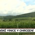 Rozhovory 24: Slovenské vinice v ohrození