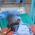 Tragédia na internáte: Jedovatý had pohrýzol šesť spiacich dievčat, tri zomreli