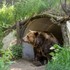 Zomrela ikona bratislavskej ZOO