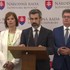 Tlačová beseda opozície k portálu slovensko.sk