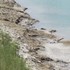 Európania opúšťajú horúci juh: Sever kontinentu láka chladnejšou klímou