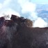 Sicílska Etna je opäť v plnej aktivite: Letisko začalo rušiť lety