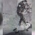 Policajt na záberoch kope do ležiaceho mladíka. Video obletelo sociálne siete