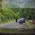 Medveď vyšiel z kríkov priamo k turistovi a pohrýzol ho do lýtka: Muž si ho najprv nevšimol
