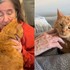 FOTO: Ryšavá mačka má nezvyčajnú prácu. To, čo robí pre seniorov, dojalo milióny ľudí