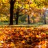 Meteorologická jeseň je tu, prvý školský deň prináša ukážkové počasie