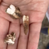 Chlapec (7) našiel na pláži zuby: Archeológovia potom odhalili masový hrob