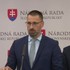 Tlačová beseda SaS: Preverme nominácie Sakovej
