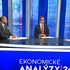 Ekonomické Analýzy 24: Spustenie 4. bloku v Mochovciach ceny nezníži, hovorí analytik