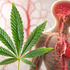 Marihuana skrýva vážne riziko, ktoré mnohí nečakali