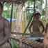 Svet 24 o Filipínskom ostrove Bohol ale aj objav fosílii neznámeho druhu prehistorického krokodíla