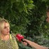 Očná lekárka varuje pred zatmením Slnka: Poškodenie zraku nemusíte vôbec cítiť, následky môžu byť nezvratné