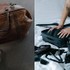 Prišli ste na dovolenku a stratili vám kufor? Toto si vždy zbaľte do príručnej batožiny!