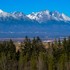 Rekordne skorý ekologický dlh: WWF bije na poplach, Slovensko vyčerpalo prírodné zdroje na celý rok už teraz