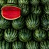 Kupujete melón? Týchto 5 trikov vám pomôže vybrať ten najsladší