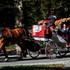 Koniec legendárnej atrakcie v New Yorku? Mesto schválilo zákaz konských povozov