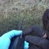 Mladú ženu našli ležať zdrogovanú na zemi. Podobných prípadov je v poslednom čase veľa, tvrdí polícia