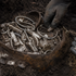 Muž kopal terasu a našiel najväčší vikingský poklad v dejinách Dánska