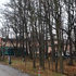 Diana po útoku skončila v kóme a podľahla zraneniam. V prípade padlo obvinenie