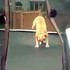 Traumatológovia: Úrazy detí na trampolínach sa množia.  Toto je 7 vecí, ktoré pri skákaní nedovoľte!