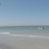 Nechutné konanie turistov. Kamera zachytila, čo urobili mŕtvemu keporkakovi Timmymu