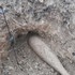 Skúmanie výbušnín alebo ich zneškodnenie: Ako vyzerá práca pyrotechnika?