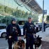 Na bratislavskom letisku bude viac policajtov. Pomáhať budú aj tí mestskí