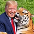 Prezident Donald Trump si v AI videu robí srandu z muža, ktorý zahynul po útoku tigra