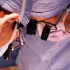 Rekord v xenotransplantácii: Prasacia oblička fungovala v tele muža 271 dní