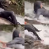 VIDEO: Mladá žena sa pošmykla na vodopáde, zomrela pred očami priateľov