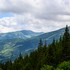 Na Šumave sa našli sudy s nebezpečnými chemikáliami. Kontaminovaných je 1000 ton zeminy