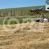 Pri Odoríne havarovala motorkárka. Po náhlom spomalení dodávky skončila aj so strojom na poli