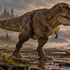 Rebro tyranosaura ukrývalo 66 miliónov rokov staré stopy ciev