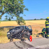 Nebezpečné predbiehanie sa skončilo čelnou zrážkou. Na mieste zasahoval vrtuľník