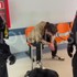 Útok na zdravotníkov v Ružinove má dohru. Prokurátor žiada väzbu pre 34-ročného Íra
