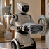 Domáci humanoid v Číne má variť, prať a starať sa o starších