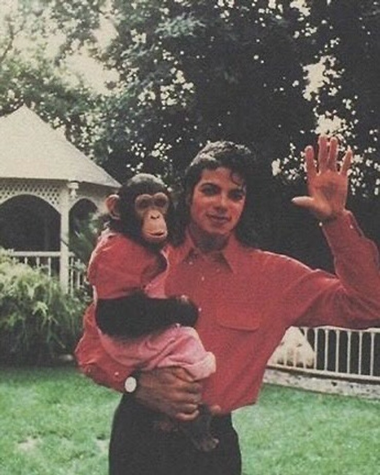 Michael Jackson so svojím šimpanzom (3)